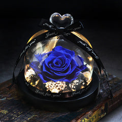 Mother Day Present Dried Flowers The
