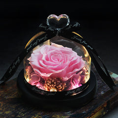 Mother Day Present Dried Flowers The